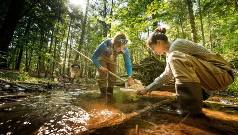 Students doing field research in a creek
