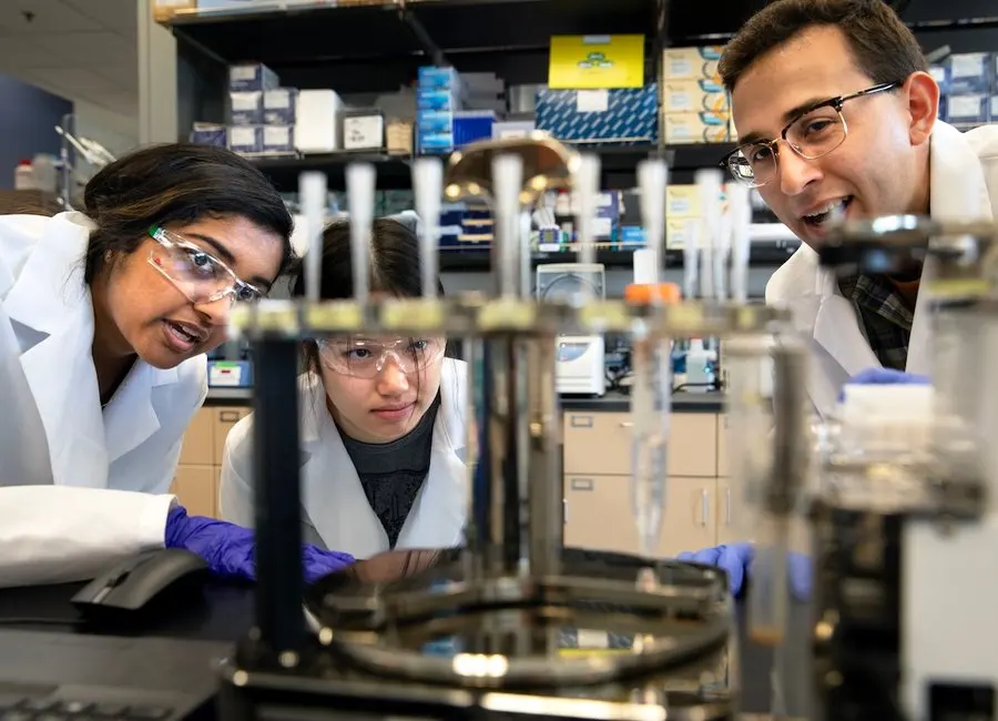 students doing research in a lab with a faculty member